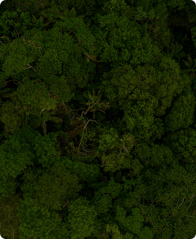 200,000+ background