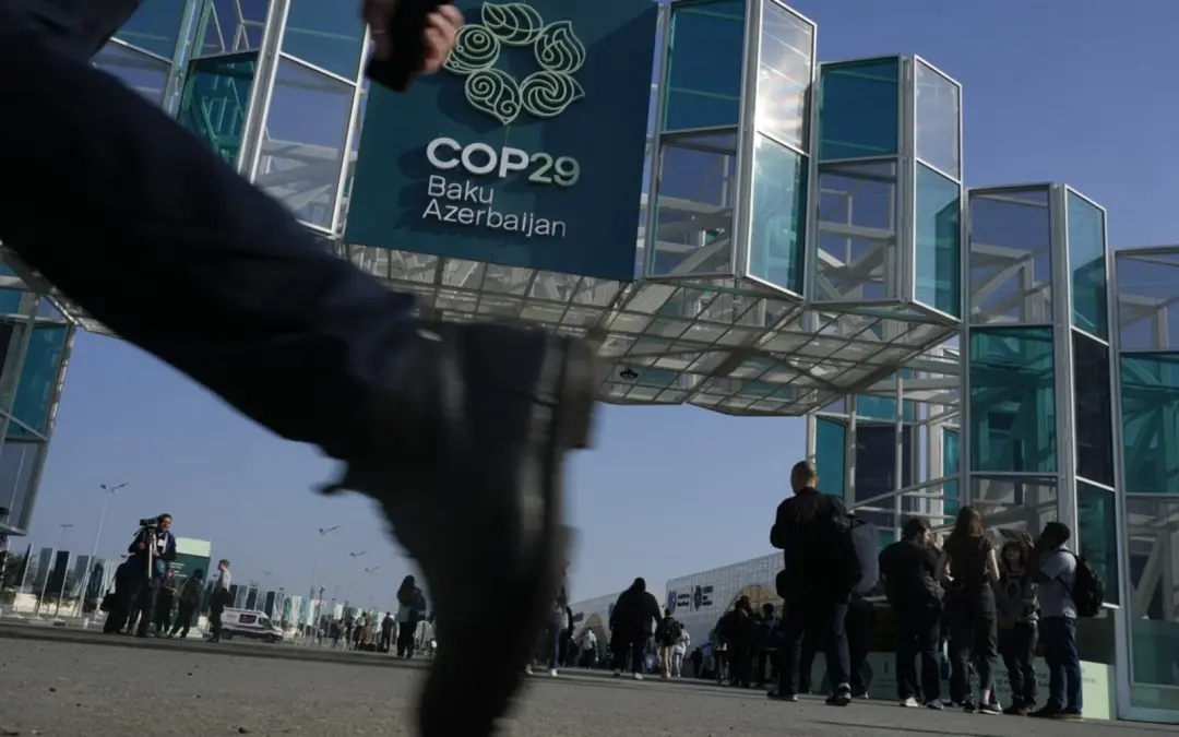 COP29: Climate change must be treated with urgency