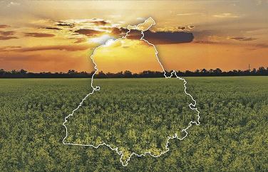 Pathways to Net Zero in Punjab: The Critical Role of Non-CO₂ Pollutants