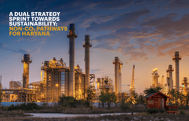 A dual strategy sprint towards Sustainability: Non CO₂ pathways for haryana