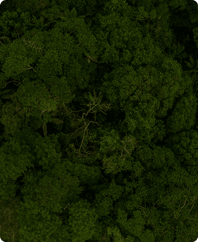 200,000+ background