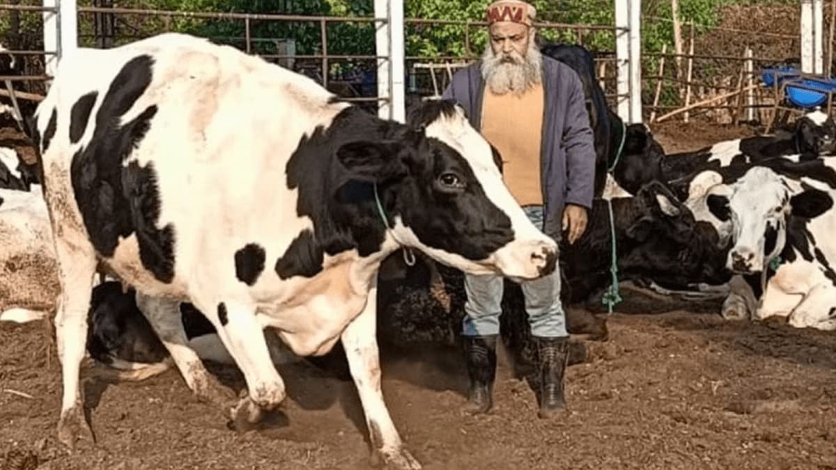 Livestock and dairy sector contributes 85% of methane emission in Himachal