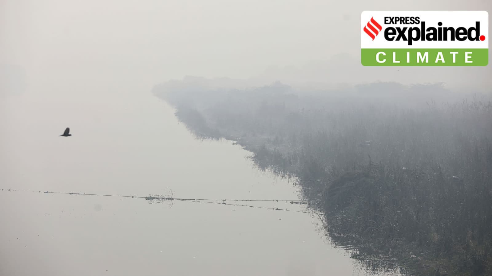 Expert Explains: Why India needs to work with its neighbours to improve air quality, status of efforts so far