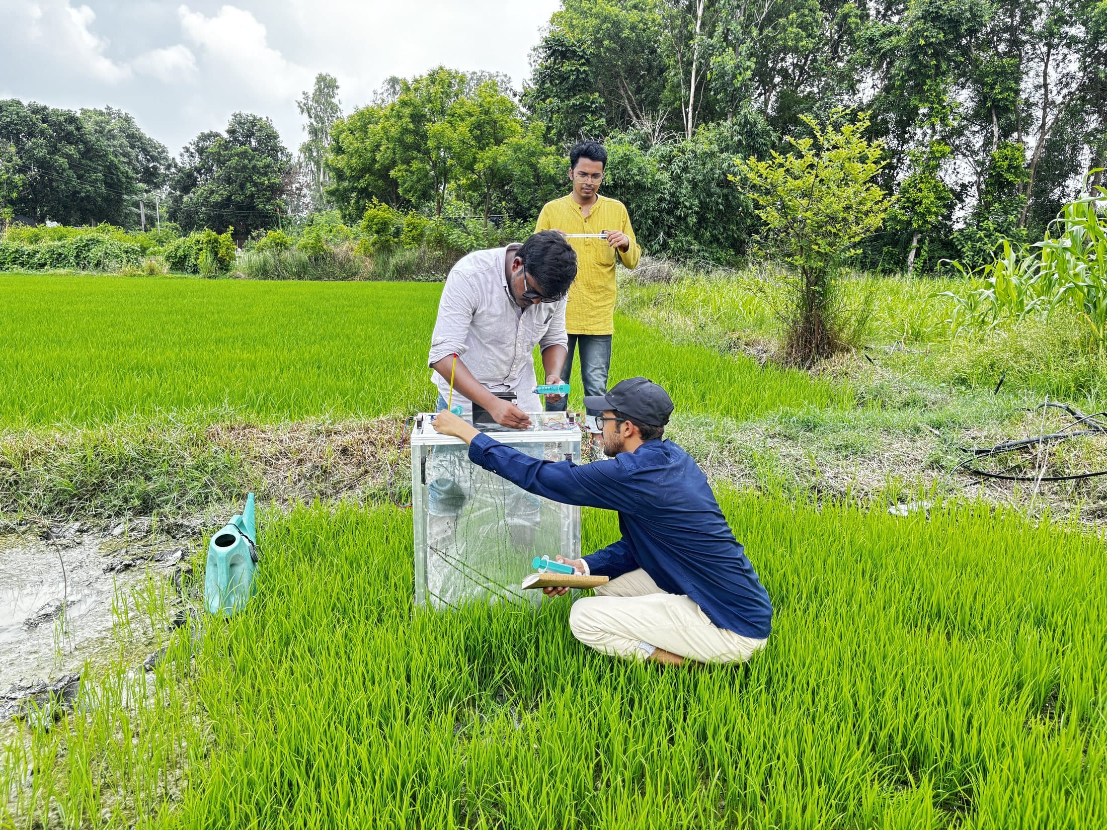 Researchers installing a closed static chamber in a paddy field in Uttar Pradesh