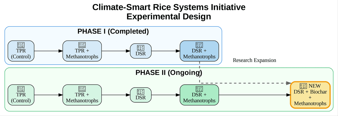 Experimental design diagram. Phase I (completed): TPR control, TPR with methanotrophs, DSR, and DSR with methanotrophs. Phase II (ongoing) repeats those four treatments and adds a new arm, DSR with biochar and methanotrophs, as a research expansion.