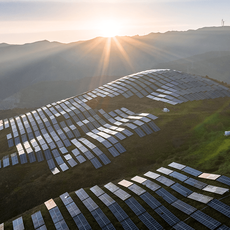 Climate Economics & Finance